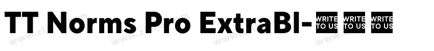 TT Norms Pro ExtraBl字体转换 TT Norms Pro ExtraBl字体转换